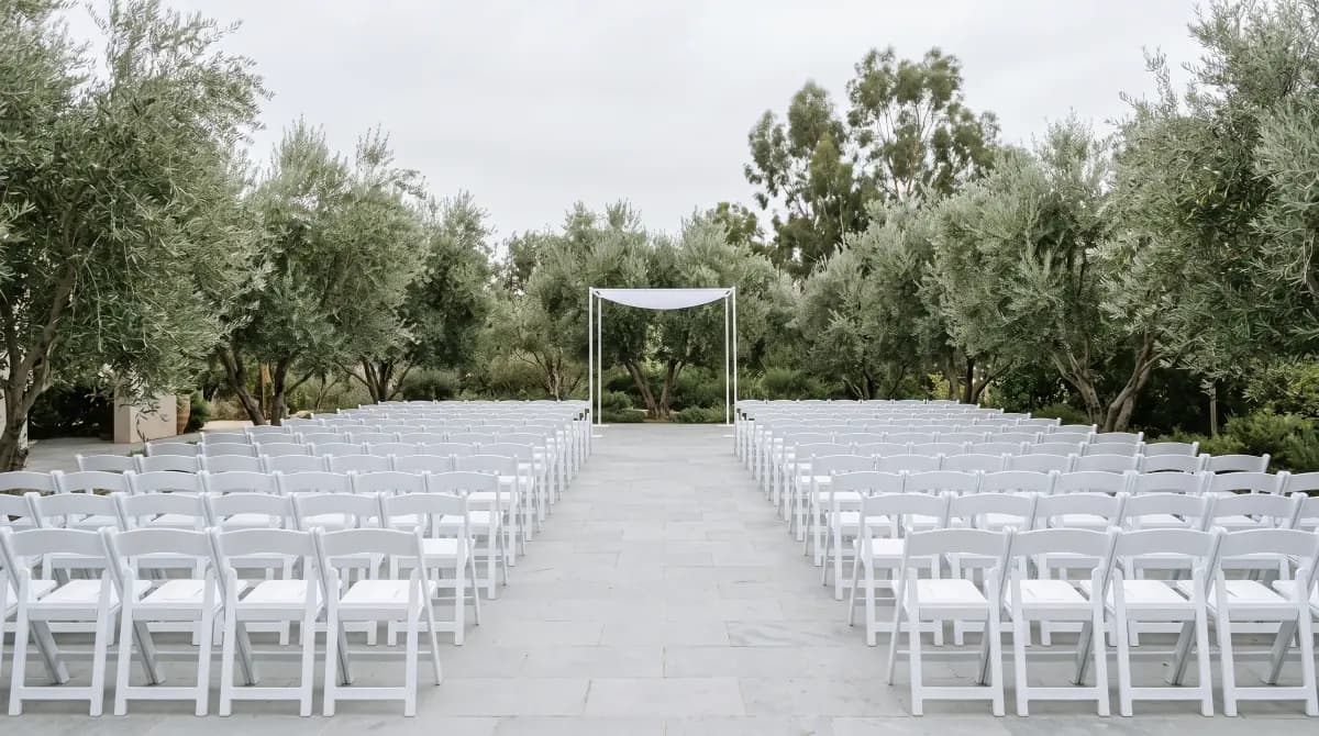 White folding chairs in rows with a central aisle under olive trees, set for a ceremony.